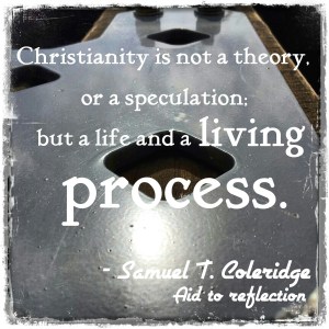 Picture of a swing mount_#Coleridgequote_RL 2013