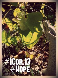 IMG_20130519_134742_20130519195829628