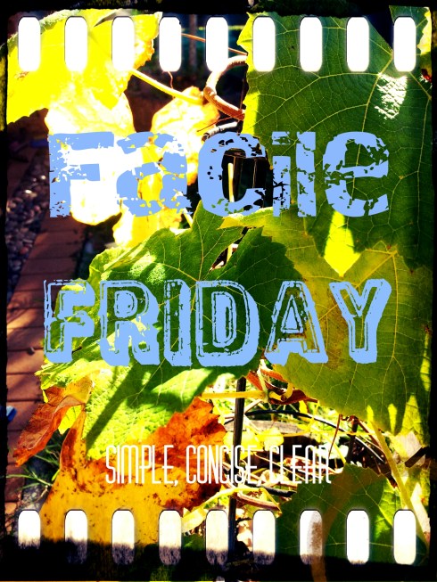 IMG_20130519_134805_20130601094811126