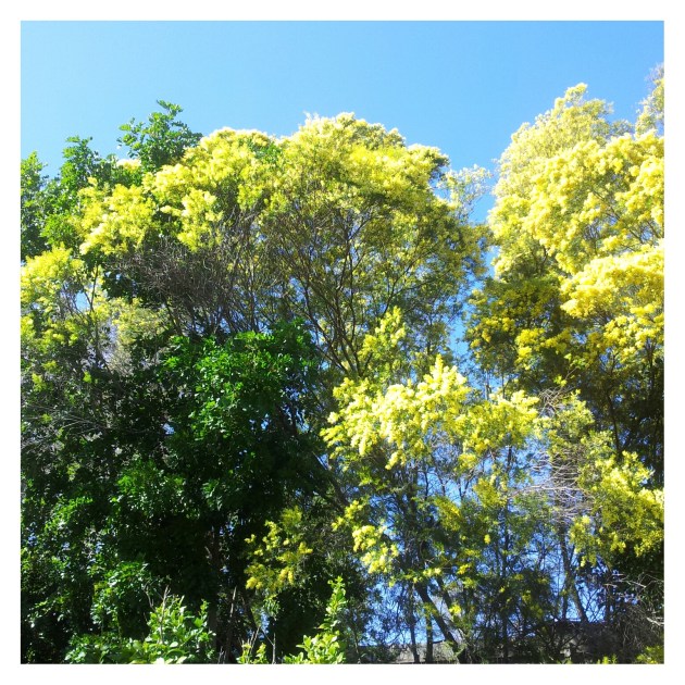 IMG_20130803_113221_20130806102105458