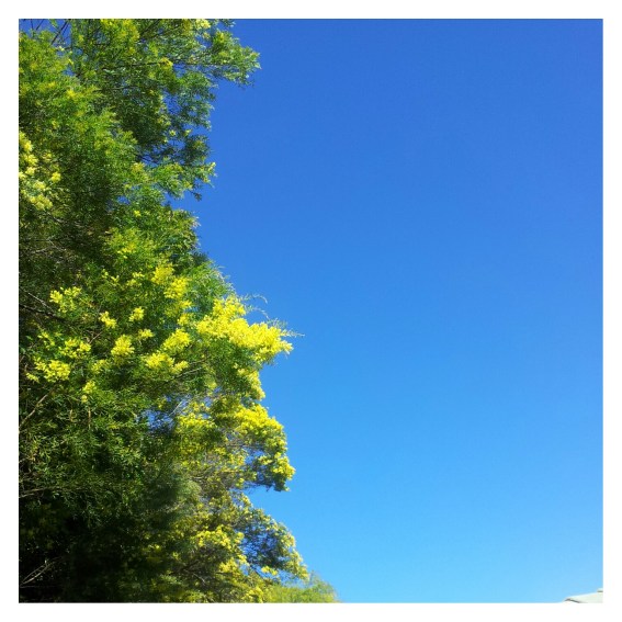 IMG_20130803_113251_20130806101951348