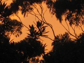 1236131_10200439602978977_1279892547_n