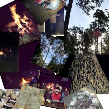 collage_20131023095338969_20131023100350257_20131023101945837_20131023103201797