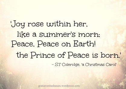 Morning Sun_STC_0012