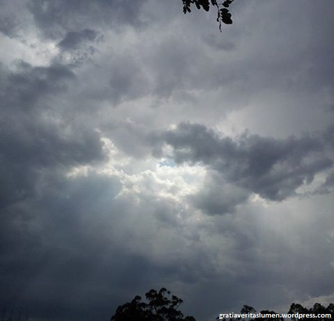 10247486_10202844681704442_317129053718662599_n