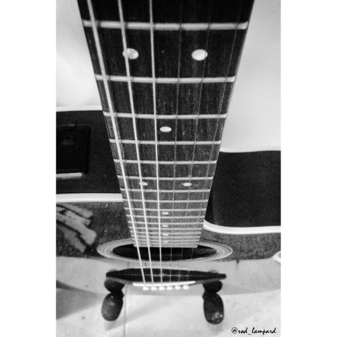 Stringed Horse Callused Muse Haiku GVL