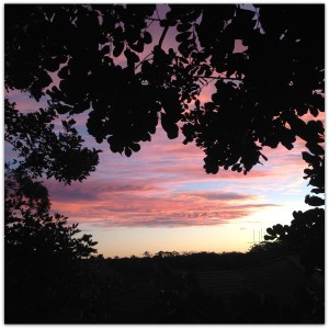 Blog Post 23rd May 2016