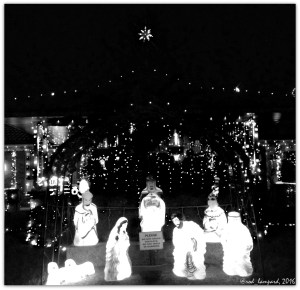 19th-december-2016-023