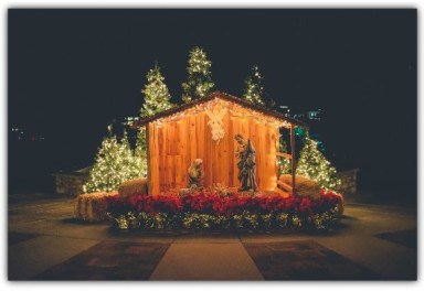 neonbrand-463099-unsplash